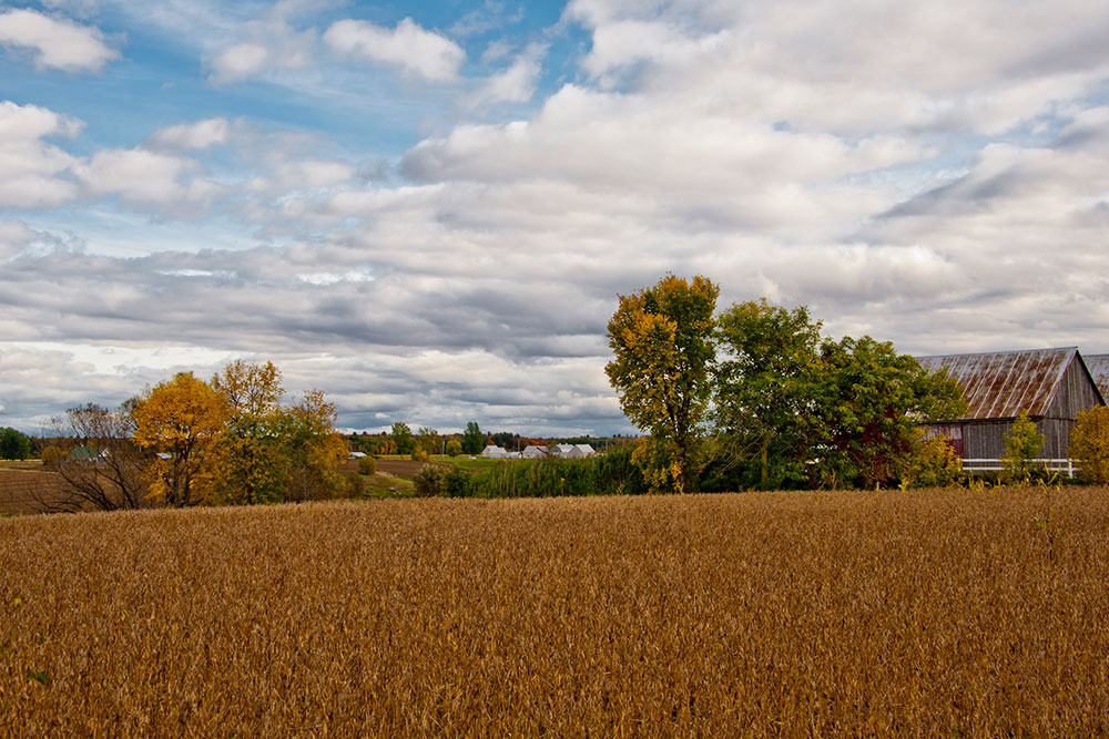 Yamaska & Saint-Aimé 6